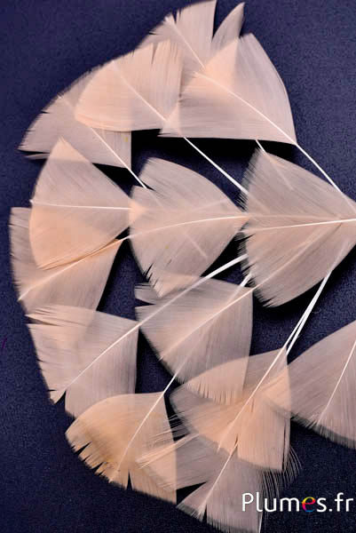 Pétales en plumes - 6-8 x 3-4 cm - saumon